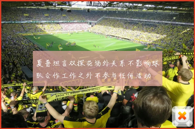 夏普坦言双探花场外关系不影响球队合作工作之外不参与任何活动